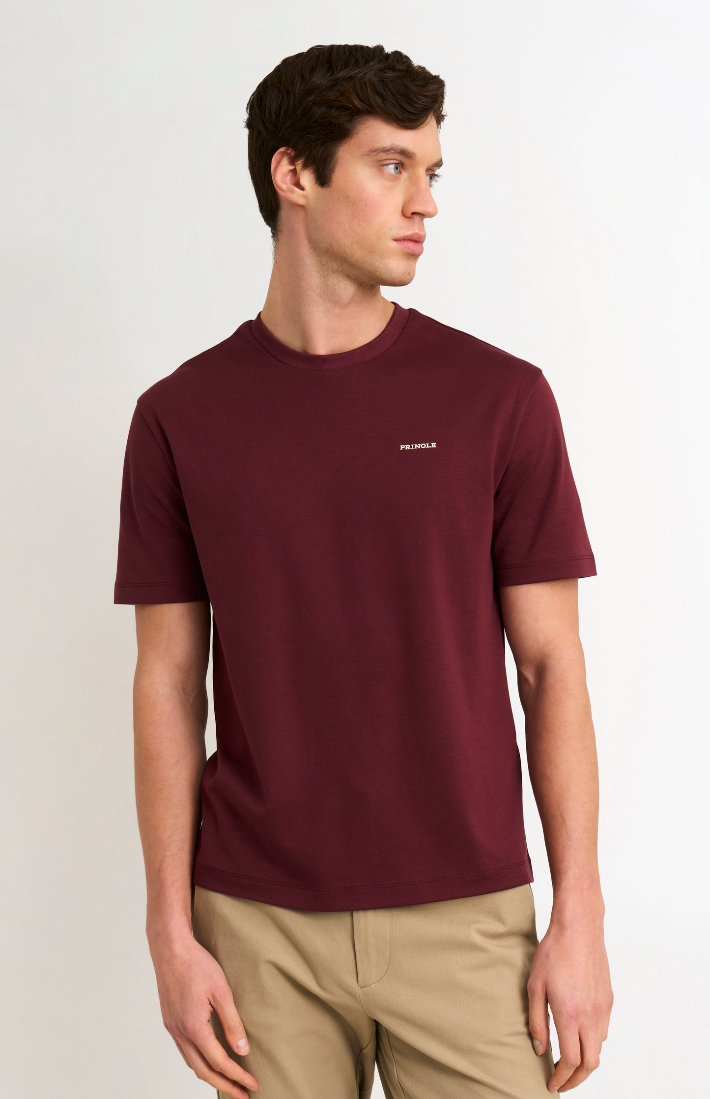 Men's Heavweight Long Staple Cotton T-shirt In Burgundy