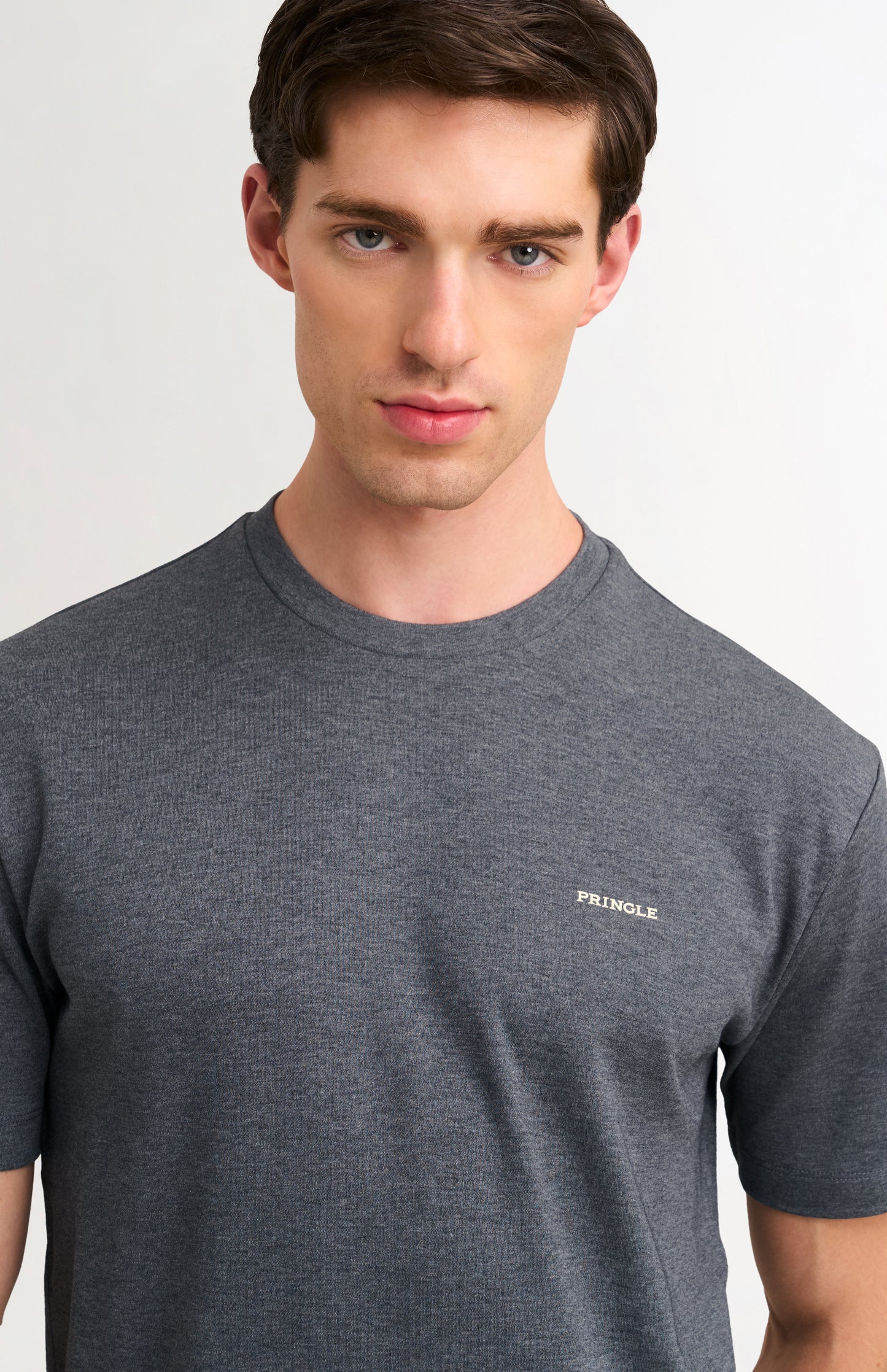 Men's Heavyweight Long Staple Cotton T-shirt In Charcoal