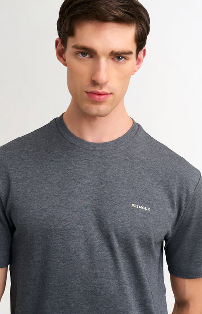 Men's Heavyweight Long Staple Cotton T-shirt In Charcoal