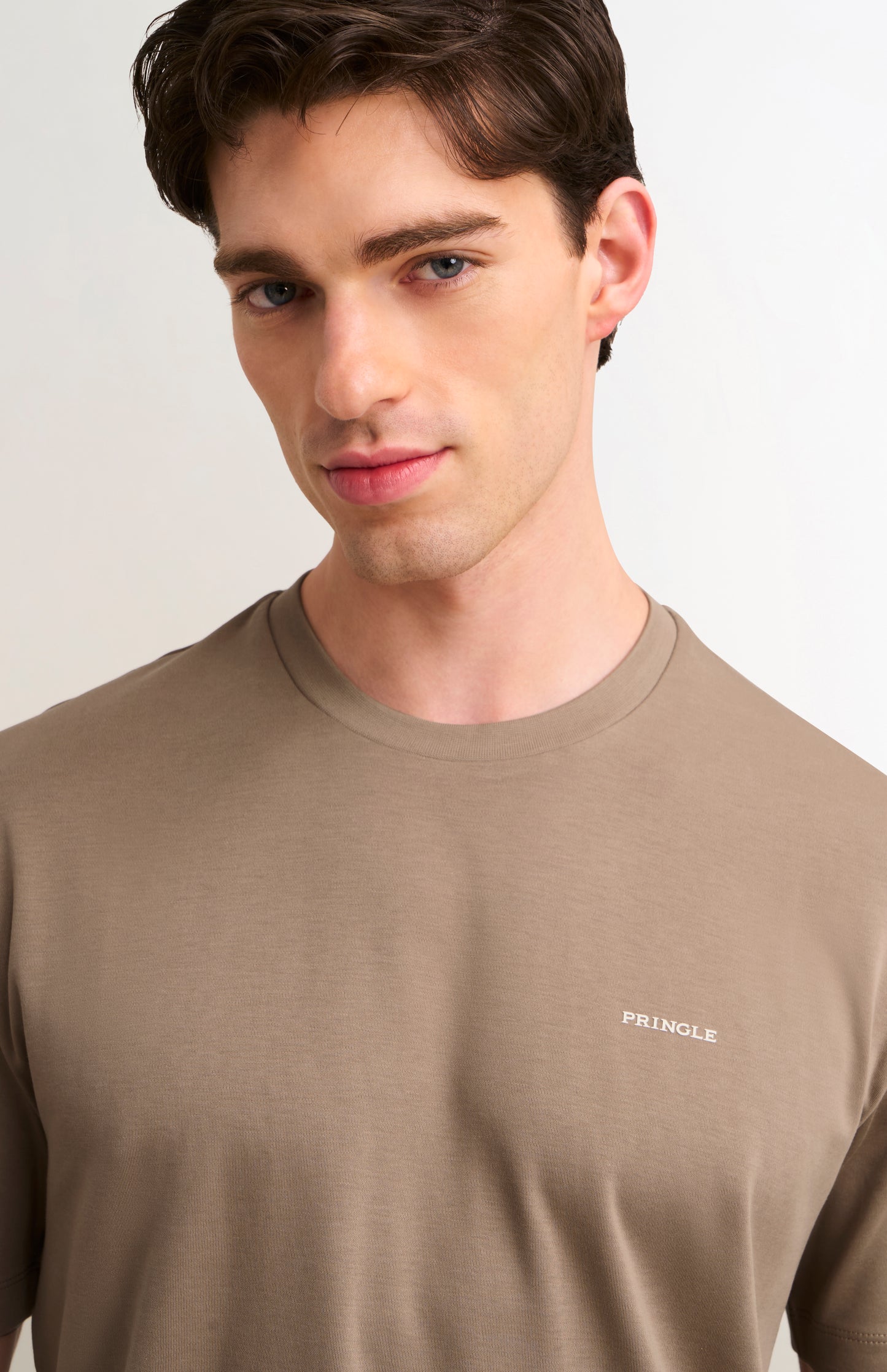 Men's Heavyweight Long Staple Cotton T-shirt In Mushroom