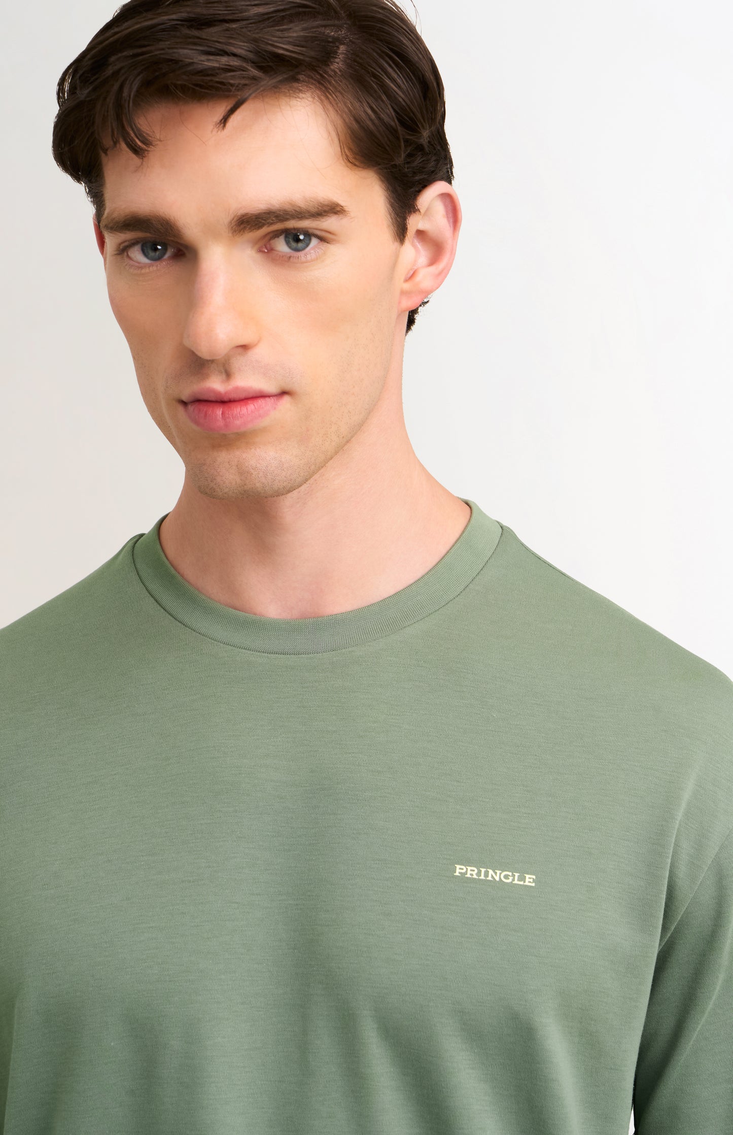 Men's Heavyweight Long Staple Cotton T-shirt In Sage Green