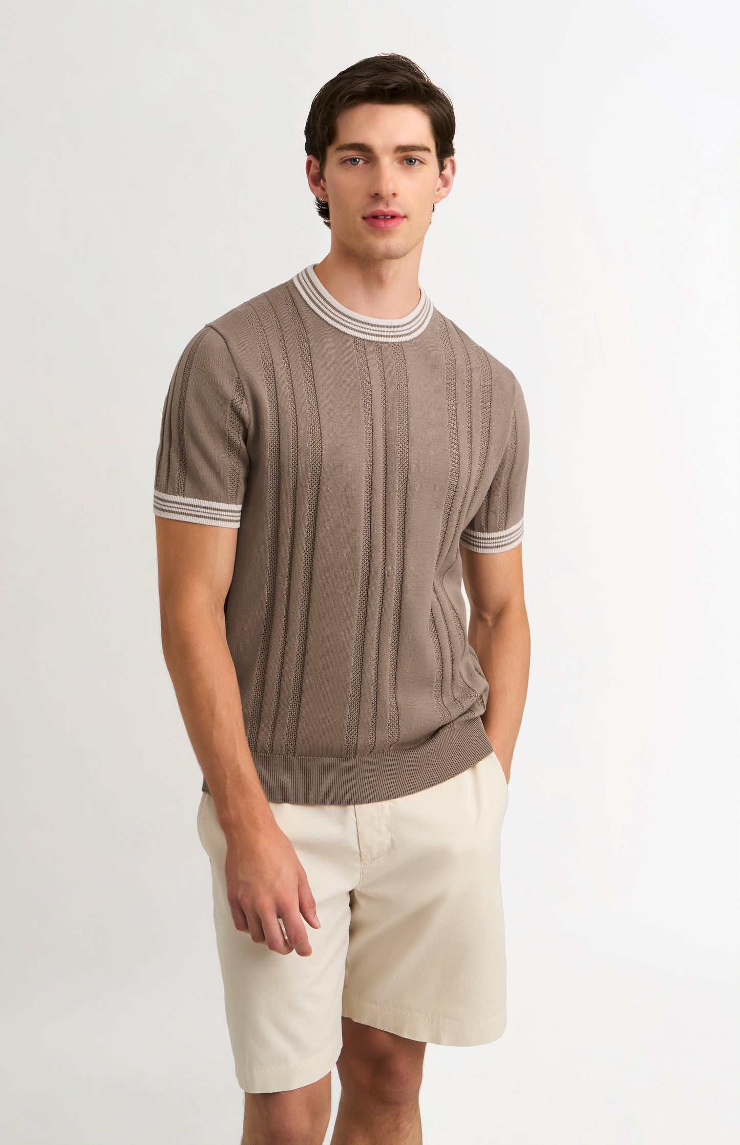Men's Cotton And Silk Textured House Stripe T-shirt In Mushroom