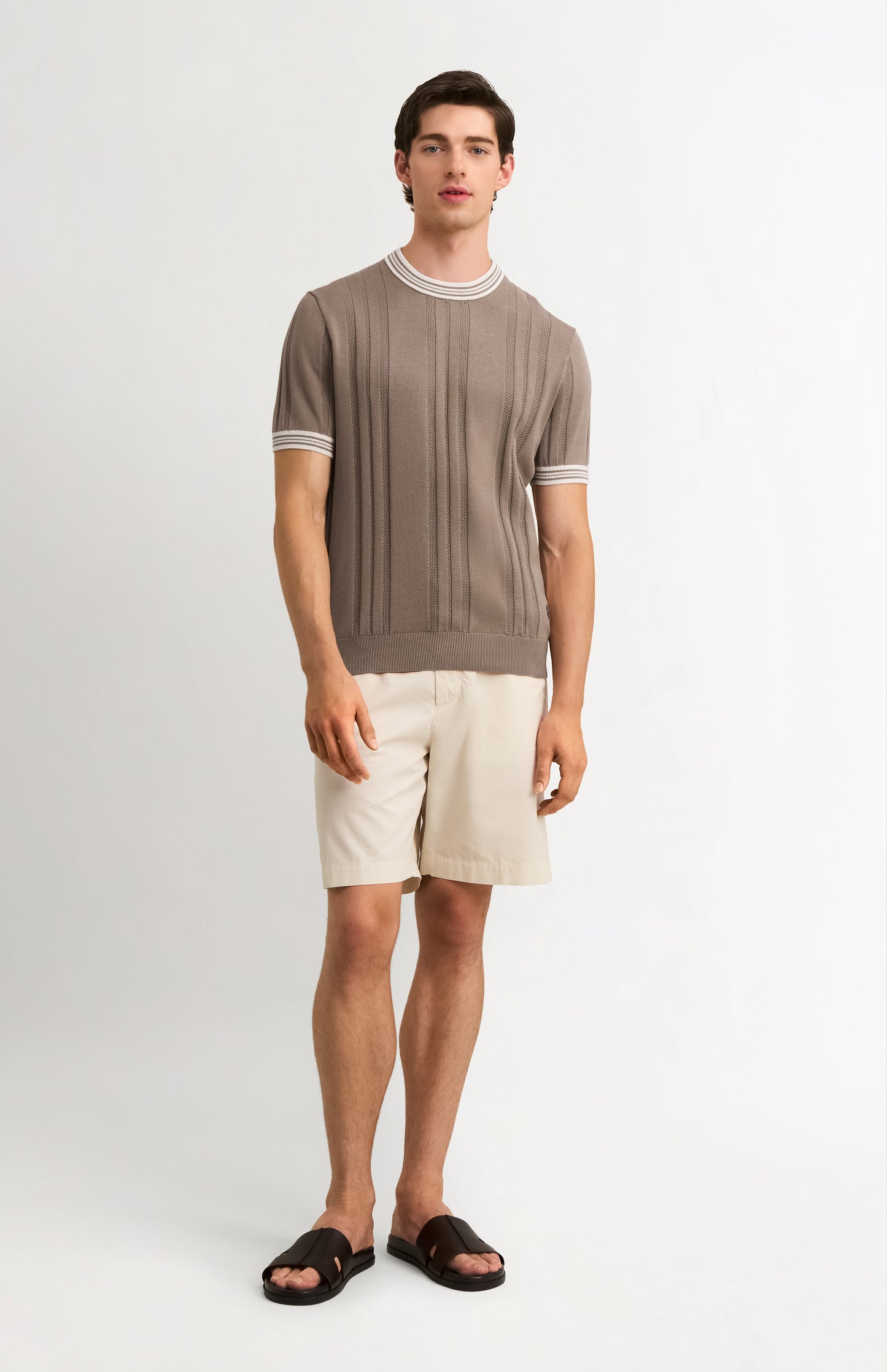 Men's Cotton And Silk Textured House Stripe T-shirt In Mushroom