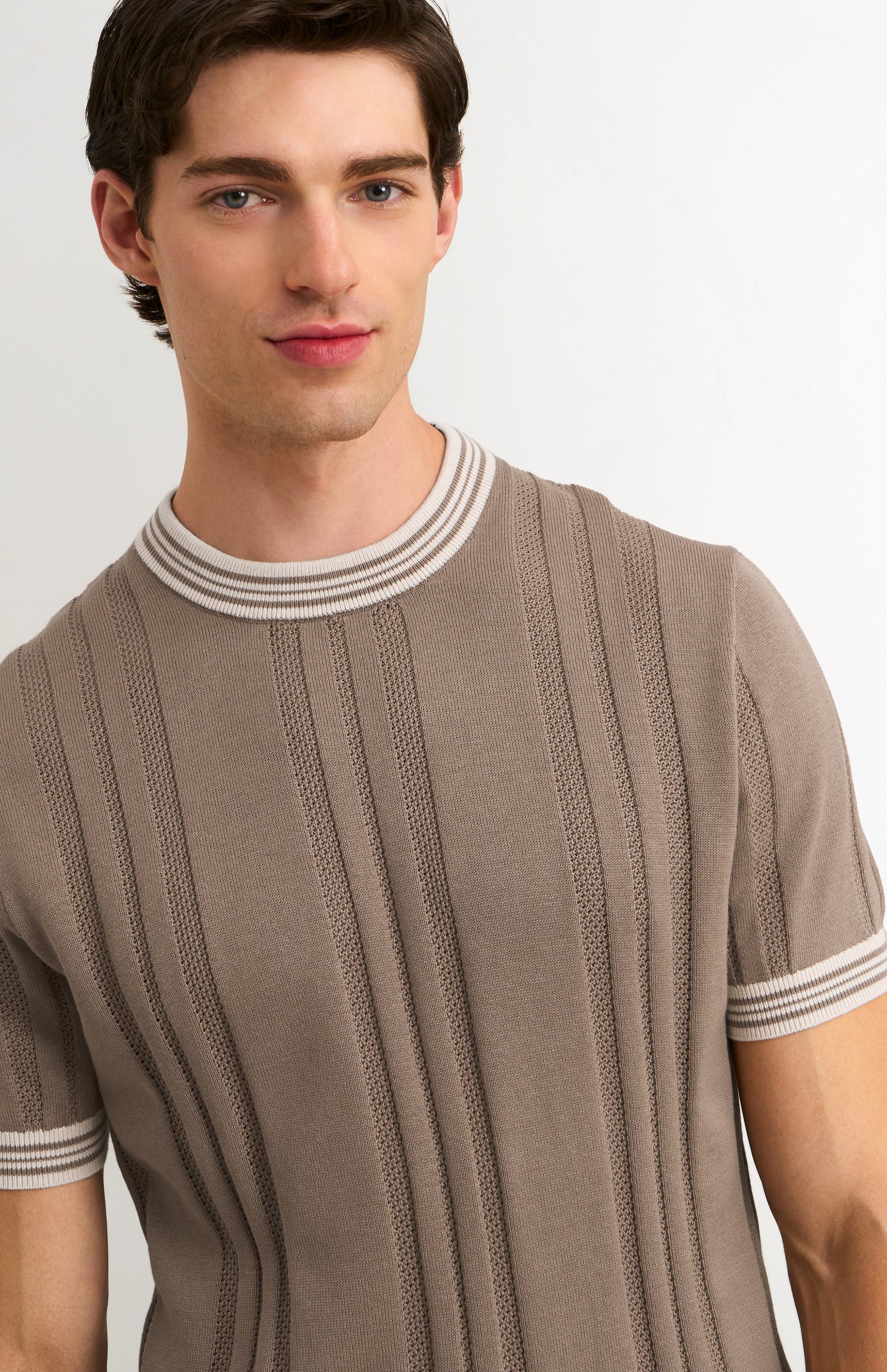 Men's Cotton And Silk Textured House Stripe T-shirt In Mushroom