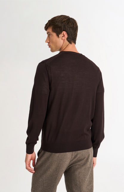 Pringle of Scotland Men’s Merino Wool Crew Neck Jumper In Dark Brown rear view