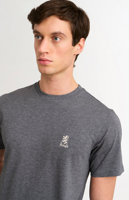 Man wearing a gray t-shirt with a small logo on a plain background