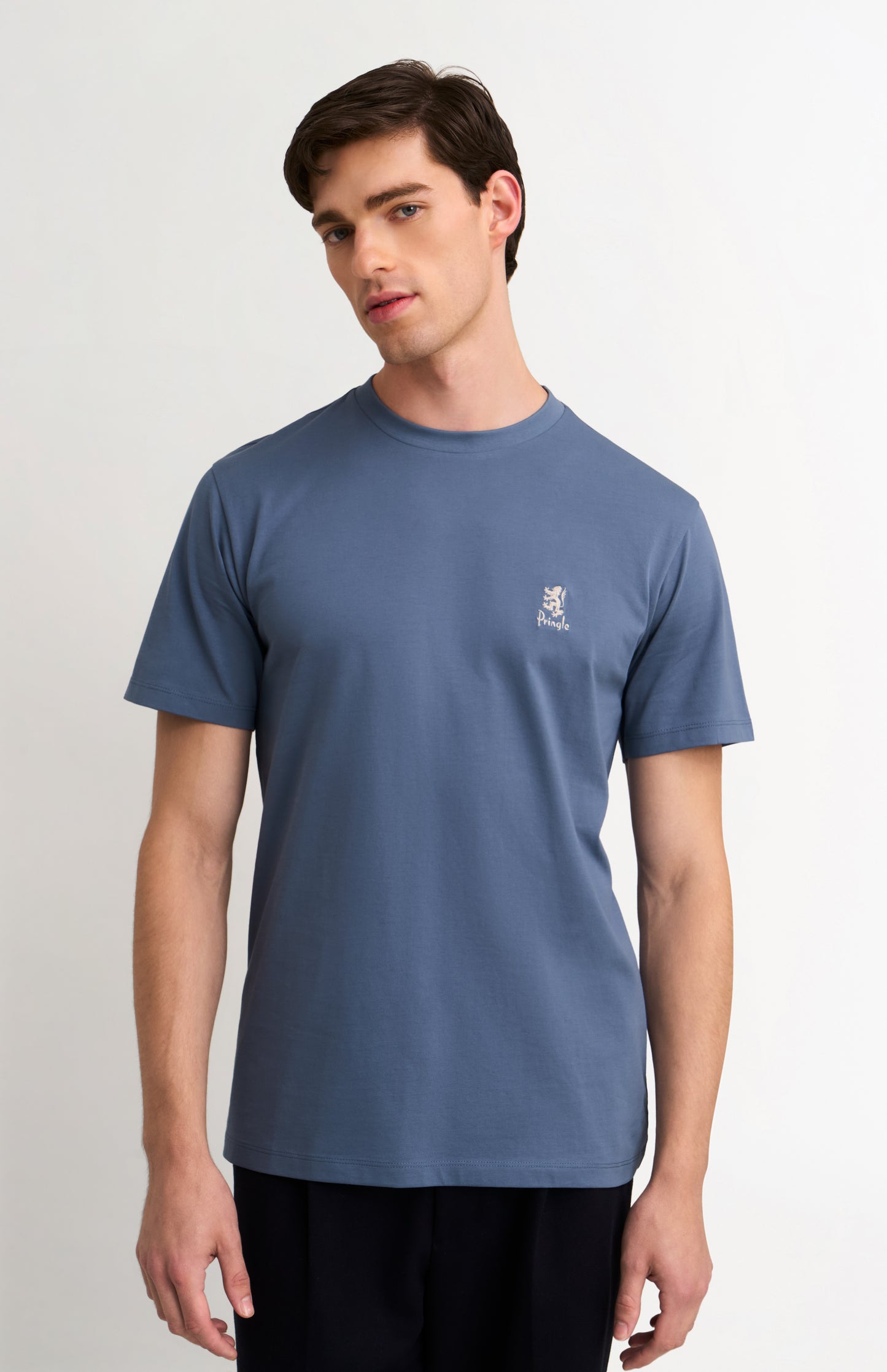 Men's Mid-weight Supima Cotton T-shirt In Blue