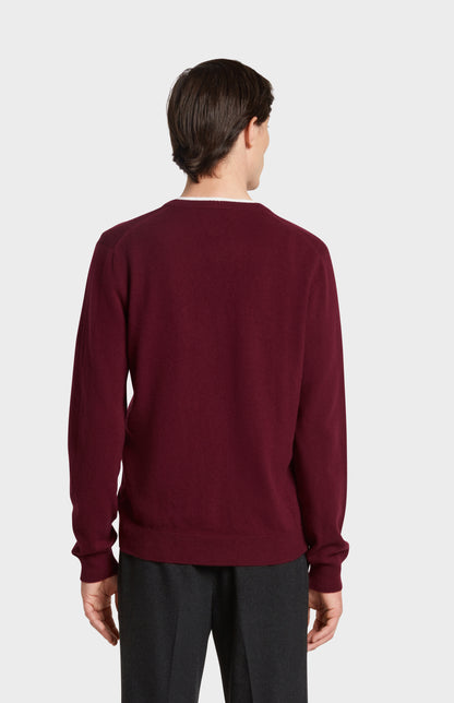 Pringle of Scotland Men's V Neck Cashmere Jumper on Model Rear view