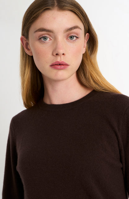 Women's Classic Crew Neck Cashmere Jumper In Dark Brown