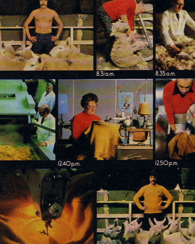 From sheep to Pringle of Scotland jumper collage from the Daioly Telegraph in 1976.
